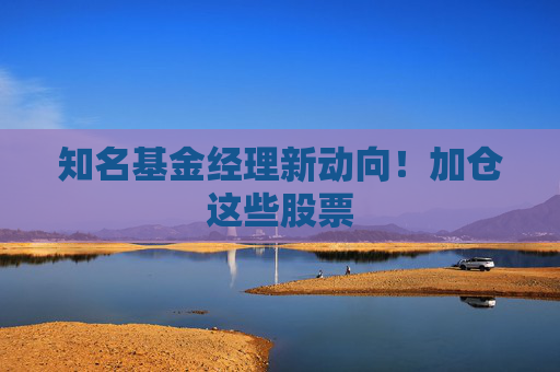 知名基金经理新动向！加仓这些股票