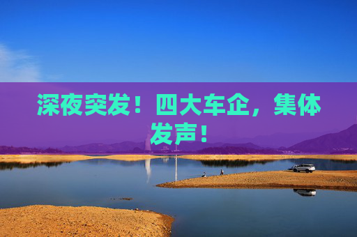 深夜突发！四大车企，集体发声！