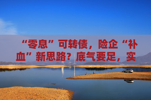 “零息”可转债，险企“补血”新思路？底气要足，实力要硬！