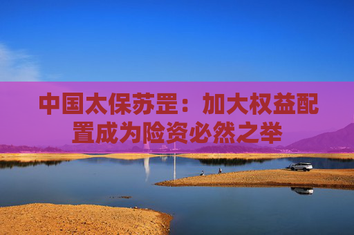 中国太保苏罡：加大权益配置成为险资必然之举