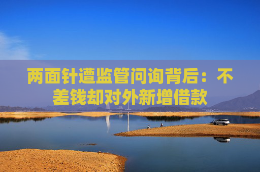 两面针遭监管问询背后：不差钱却对外新增借款