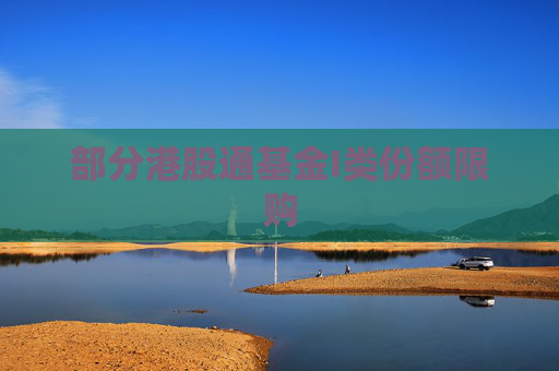 部分港股通基金I类份额限购
