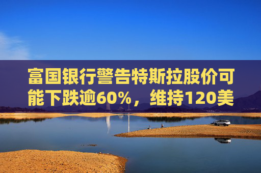 富国银行警告特斯拉股价可能下跌逾60%，维持120美元目标价