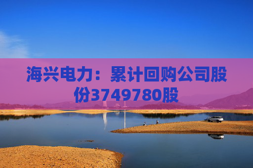 海兴电力：累计回购公司股份3749780股