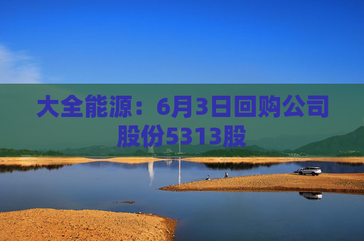 大全能源：6月3日回购公司股份5313股