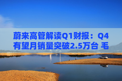 蔚来高管解读Q1财报：Q4有望月销量突破2.5万台 毛利率超20%  第1张