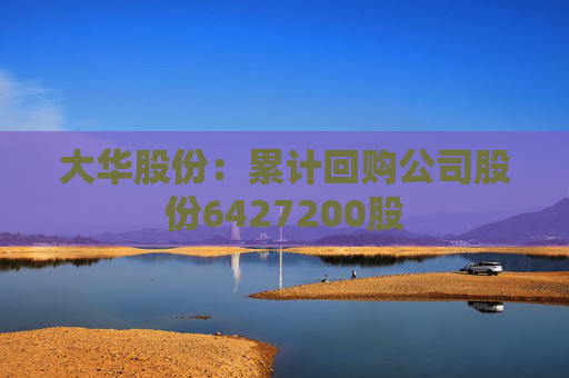 大华股份：累计回购公司股份6427200股