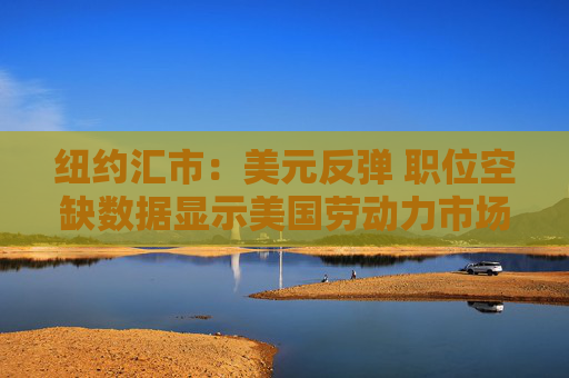 纽约汇市：美元反弹 职位空缺数据显示美国劳动力市场依然稳健