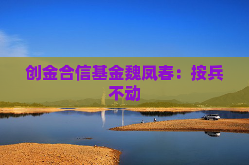 创金合信基金魏凤春：按兵不动