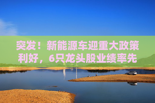 突发！新能源车迎重大政策利好，6只龙头股业绩率先反转