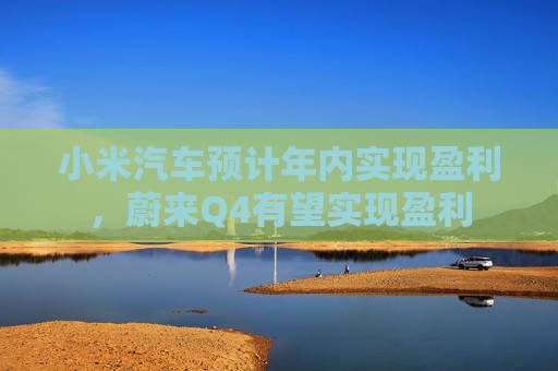 小米汽车预计年内实现盈利，蔚来Q4有望实现盈利
