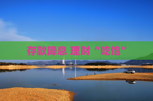 存款降息 理财“吃饱”
