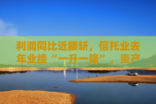 利润同比近腰斩，信托业去年业绩“一升一降”，资产规模创新高至29.56万亿元