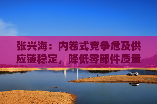 张兴海：内卷式竞争危及供应链稳定，降低零部件质量和安全标准