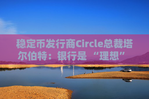 稳定币发行商Circle总裁塔尔伯特：银行是 “理想” 合作伙伴