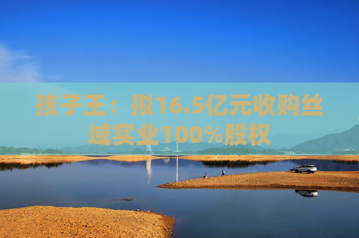 孩子王：拟16.5亿元收购丝域实业100%股权