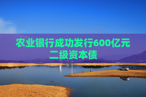 农业银行成功发行600亿元二级资本债