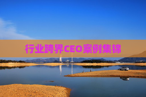 行业跨界CEO案例集锦