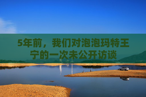 5年前，我们对泡泡玛特王宁的一次未公开访谈