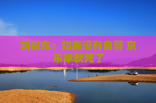 刘强东：如果没有自营 京东早就死了