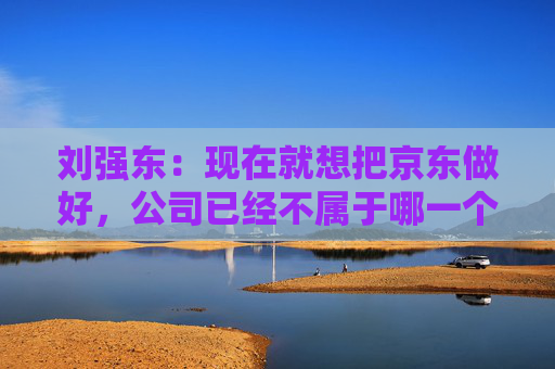 刘强东：现在就想把京东做好，公司已经不属于哪一个人了