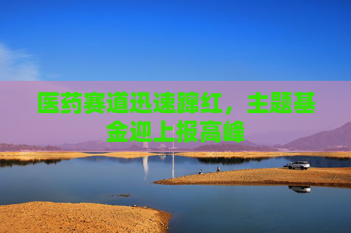 医药赛道迅速蹿红，主题基金迎上报高峰