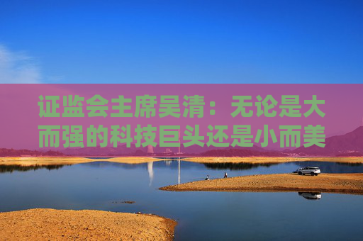 证监会主席吴清：无论是大而强的科技巨头还是小而美的科创新秀，都离不开资本市场的支持