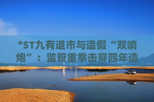 *ST九有退市与造假“双响炮”：监管重拳击穿四年造假迷雾