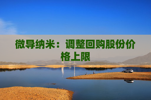 微导纳米：调整回购股份价格上限