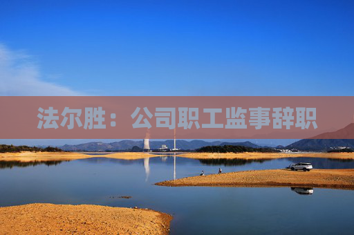 法尔胜：公司职工监事辞职