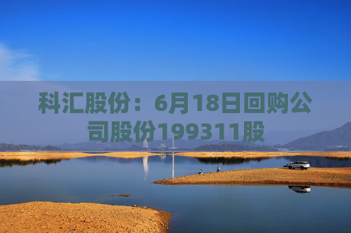 科汇股份：6月18日回购公司股份199311股