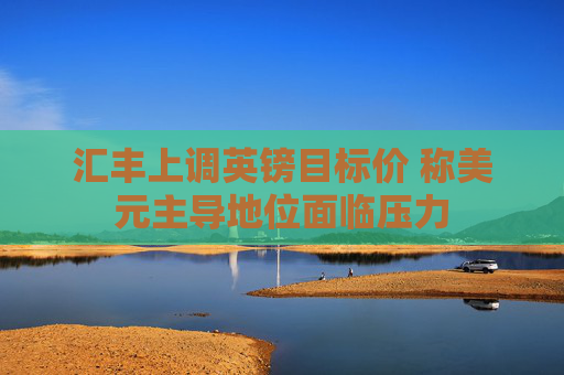 汇丰上调英镑目标价 称美元主导地位面临压力
