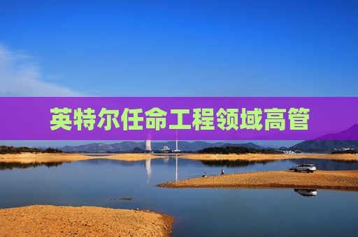 英特尔任命工程领域高管