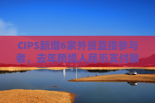 CIPS新增6家外资直接参与者，去年跨境人民币支付额同比增43%