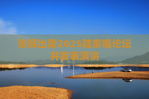 张辉出席2025陆家嘴论坛并发表演讲