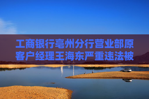 工商银行亳州分行营业部原客户经理王海东严重违法被开除公职