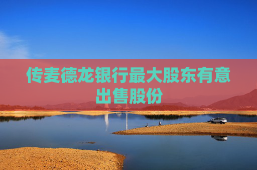 传麦德龙银行最大股东有意出售股份
