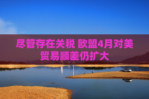 尽管存在关税 欧盟4月对美贸易顺差仍扩大