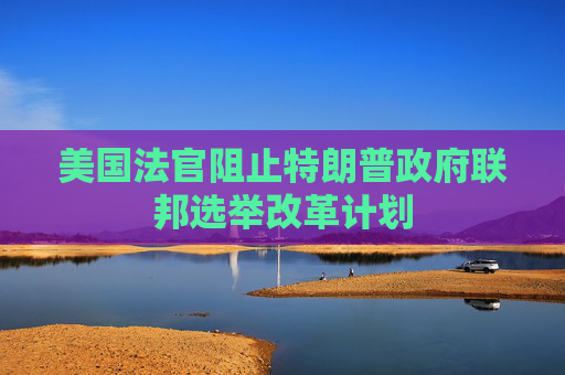 美国法官阻止特朗普政府联邦选举改革计划