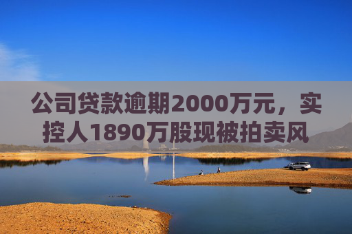 公司贷款逾期2000万元，实控人1890万股现被拍卖风险⋯⋯ST赛为遇多件“烦心事”