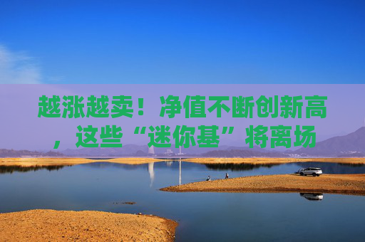 越涨越卖！净值不断创新高，这些“迷你基”将离场