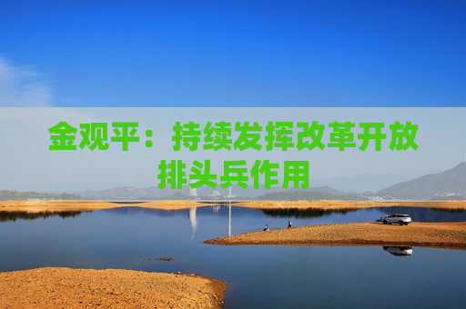 金观平：持续发挥改革开放排头兵作用