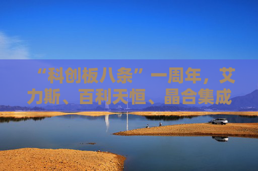 “科创板八条”一周年，艾力斯、百利天恒、晶合集成等多位科创板公司掌门人发声！