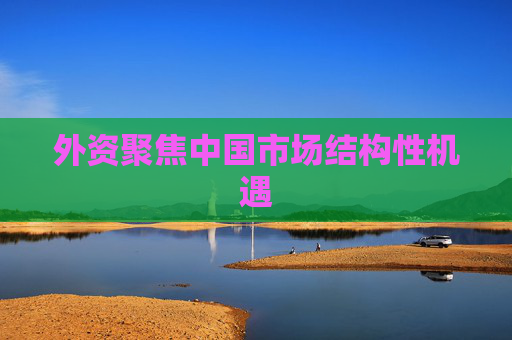 外资聚焦中国市场结构性机遇