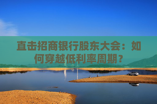 直击招商银行股东大会：如何穿越低利率周期？  第1张