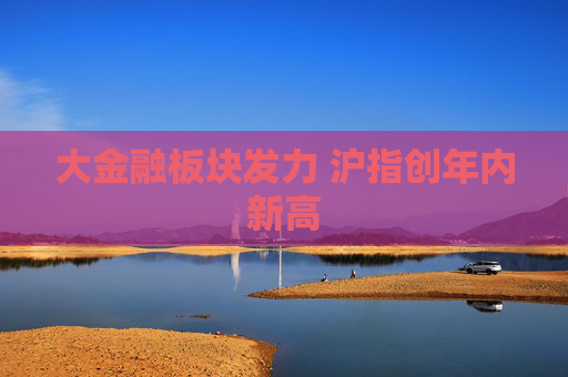 大金融板块发力 沪指创年内新高