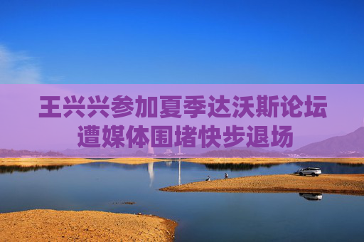 王兴兴参加夏季达沃斯论坛 遭媒体围堵快步退场  第1张