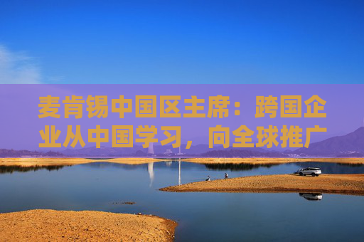 麦肯锡中国区主席：跨国企业从中国学习，向全球推广