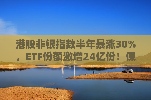 港股非银指数半年暴涨30%，ETF份额激增24亿份！保险股成重仓“C位”