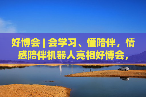 好博会 | 会学习、懂陪伴，情感陪伴机器人亮相好博会，大模型加持越用越懂你！